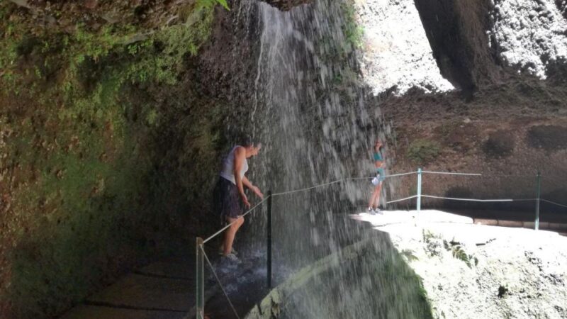 From Funchal: Wet Your Hair in the Amazing Moinhos Levada - Experience Highlights