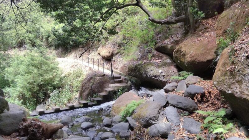 From Funchal: Wet Your Hair in the Amazing Moinhos Levada - Customer Reviews