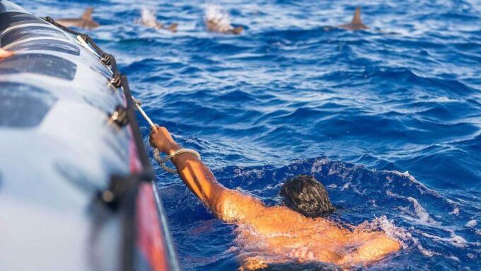 From Funchal: Whale and Dolphin Watching - Customer Feedback