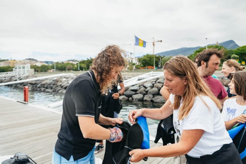 From Funchal: Whales and Dolphin Adventure Tour - Important Information