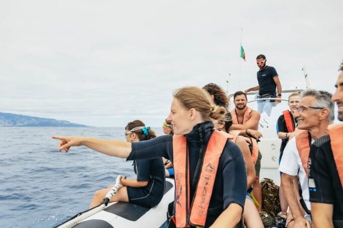 From Funchal: Whales and Dolphin Adventure Tour - Tour Cancellation and Refund