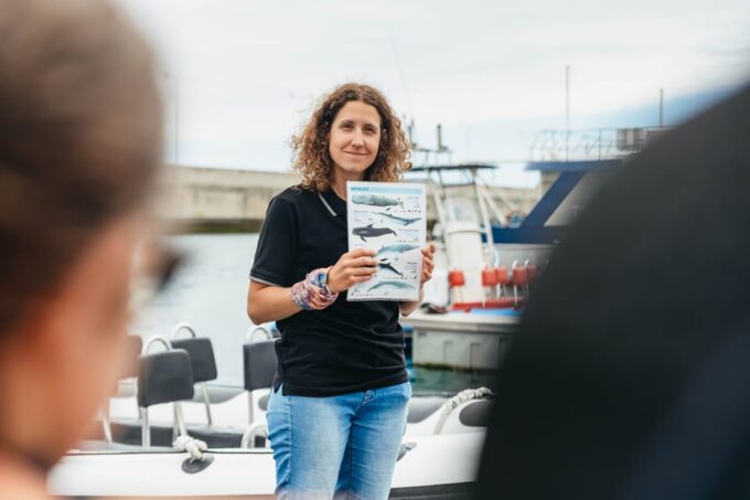 From Funchal: Whales and Dolphin Adventure Tour - Frequently Asked Questions