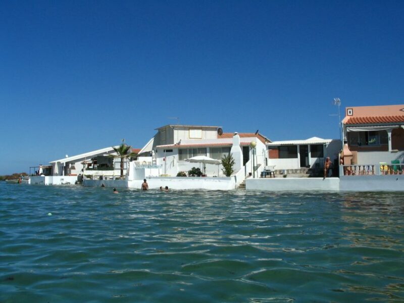 From Fuzeta: 2-Hour Southeast Ria Formosa Boat Trip - Pricing and Languages