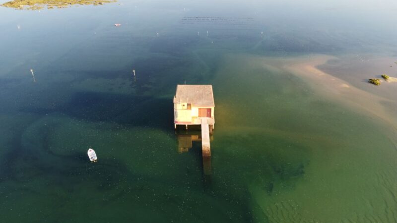 From Fuzeta: 2-Hour Southeast Ria Formosa Boat Trip - Highlights of the Experience