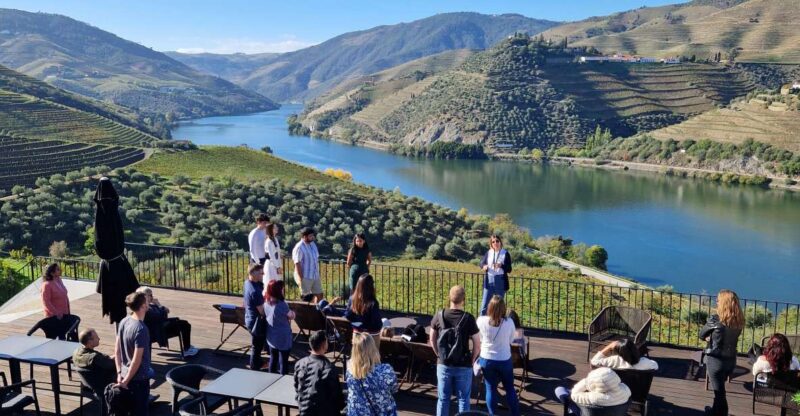 From Gaia Douro Valley Tour Wine Tasting River Cruise Lunch - Itinerary