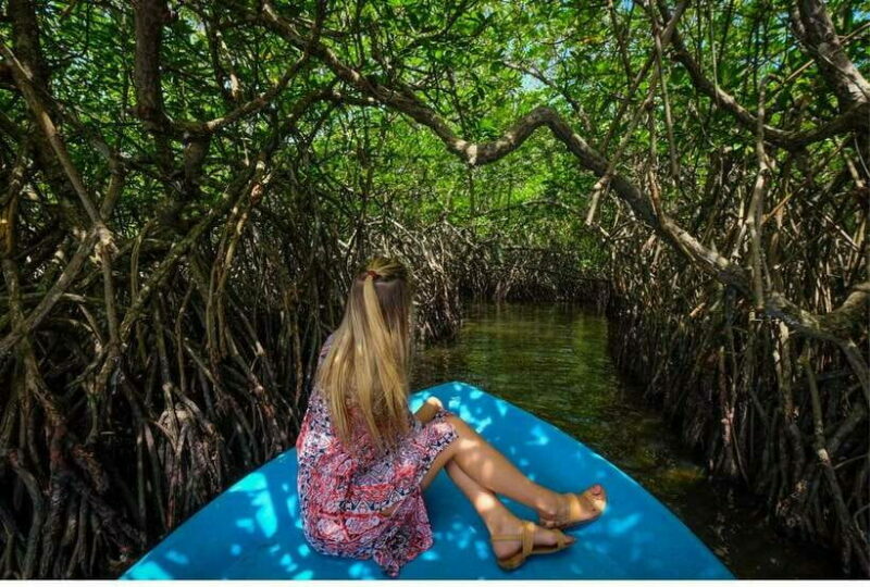 From Galle: Exclusive Madu River Safari & Turtle Hatchery - What Makes This Tour Special?
