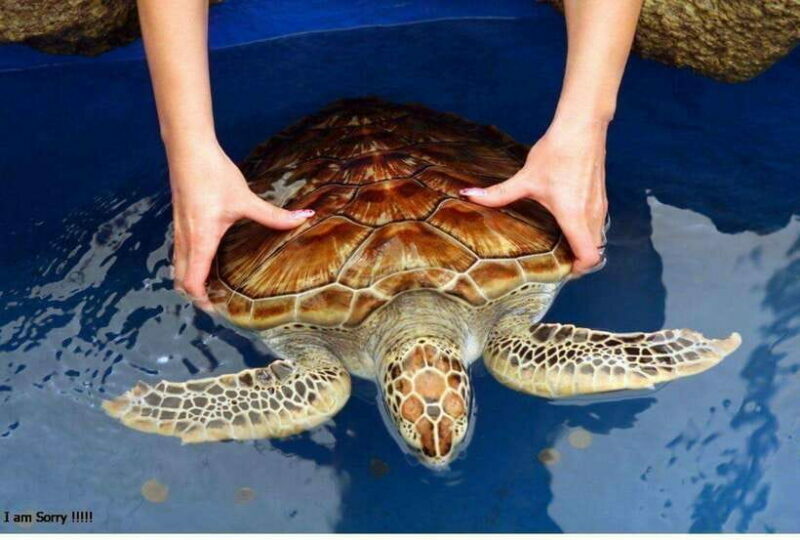 From Galle: Exclusive Madu River Safari & Turtle Hatchery - Final Thoughts