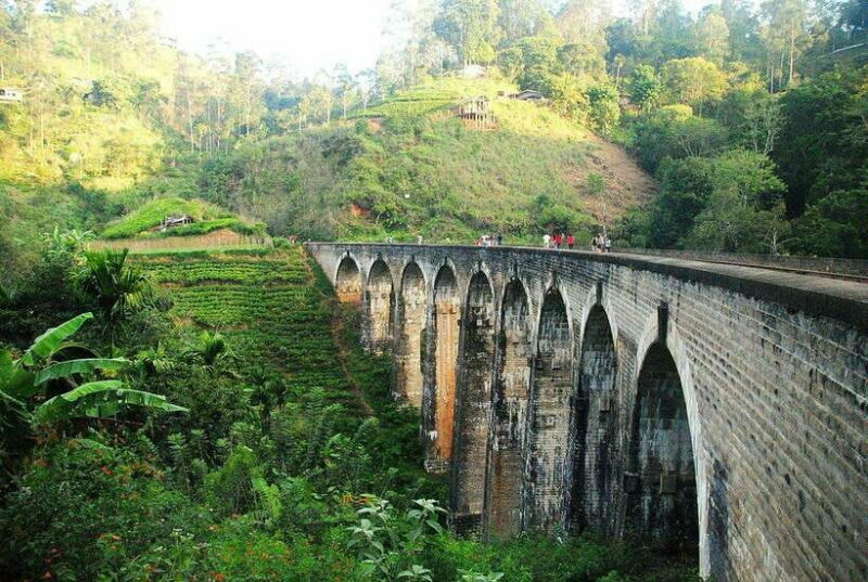 From Galle/Hikkaduwa/Mirissa: Day Trip to Experience Ella - The Sum Up