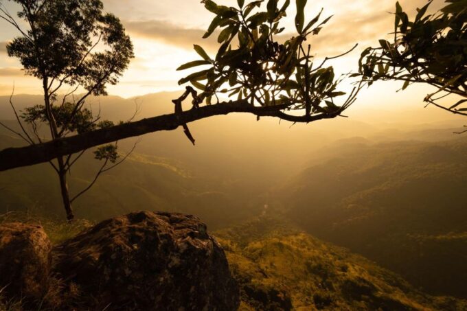 From- Galle/Mirissa/Bentota Day Trip to Ella Highlights Tour - Ravana Falls