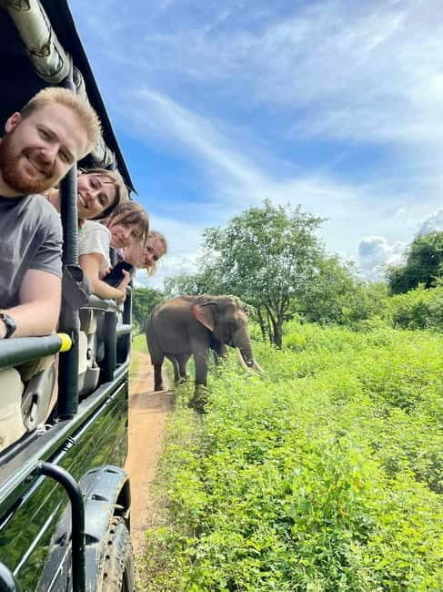 From Galle/ Mirissa/ Tangalle : Udawalawa Safari & Drop Ella - Key Points