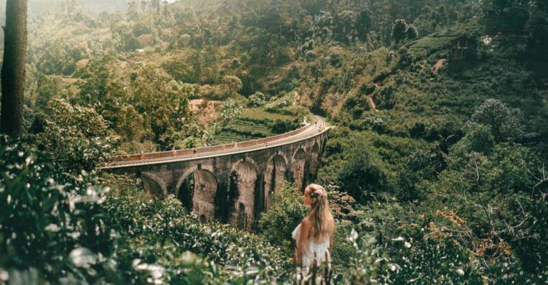 From Galle/Weligama/Mirissa: Day Trip to Ella Highlands - Key Points
