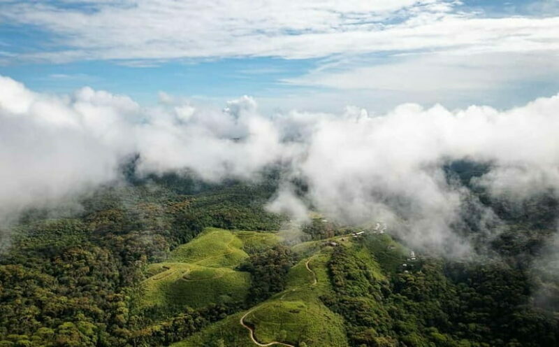 From Galle/Weligama/Mirissa/Matara: Day Trip to Sinharaja - An Overview of the Sinharaja Day Trip