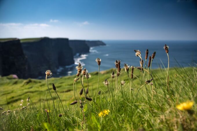 From Galway: Cliffs of Moher and The Burren Full Day Tour - Meeting Point