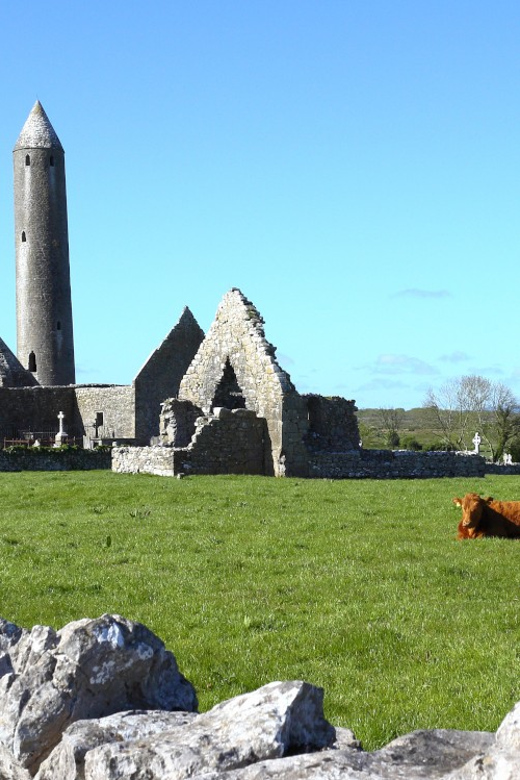 From Galway: Cliffs of Moher, Burren, and Galway City Tour - Experience Details