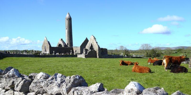From Galway: Cliffs of Moher, Burren, and Galway City Tour - Important Information