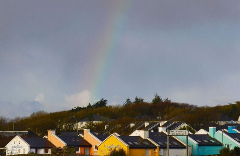 From Galway: Connemara and Connemara National Park Day Trip - Key Points