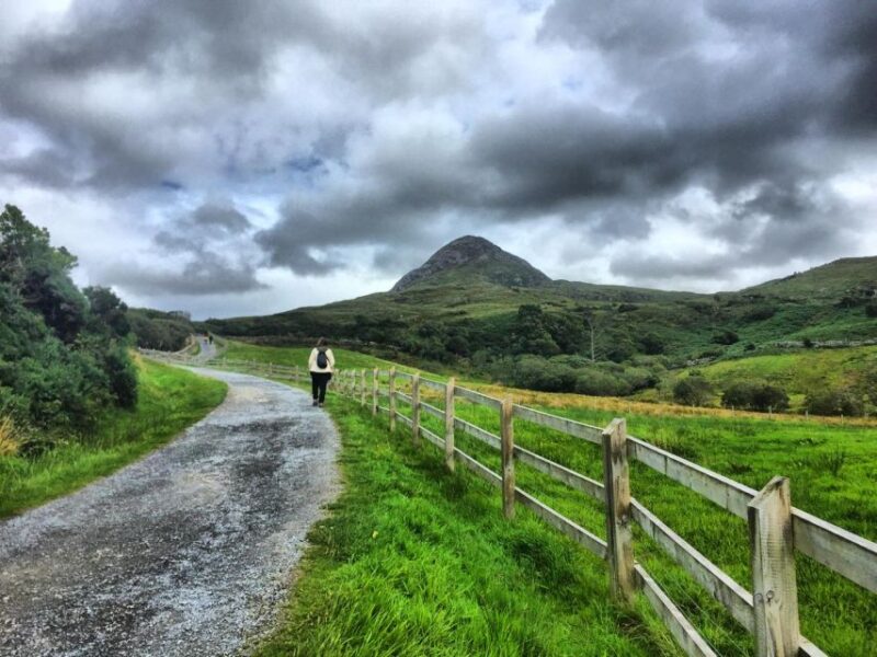 From Galway: Connemara and Connemara National Park Day Trip - Itinerary Highlights