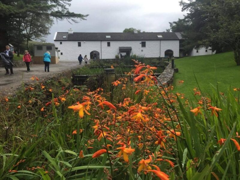 From Galway: Connemara and Connemara National Park Day Trip - Customer Feedback