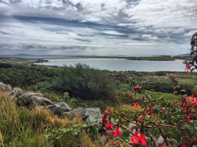 From Galway: Connemara and Kylemore Abbey Day Tour - Key Points