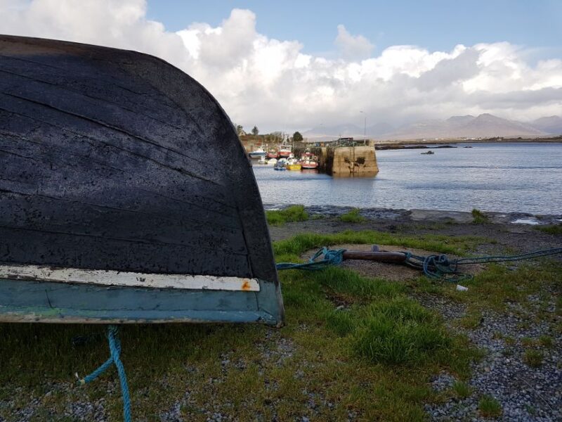 From Galway: Connemara and Kylemore Abbey Day Tour - Customer Reviews and Ratings