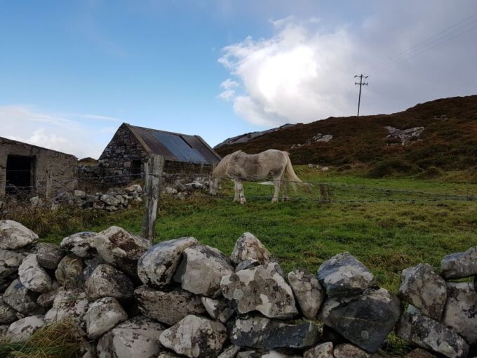 From Galway: Connemara and Kylemore Abbey Day Tour - Kylemore Abbey: A Captivating Destination