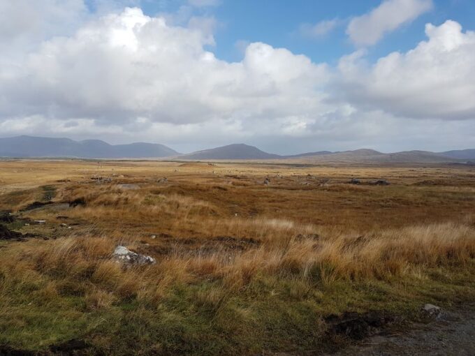 From Galway: Connemara and Kylemore Abbey Day Tour - Practical Information for Your Tour