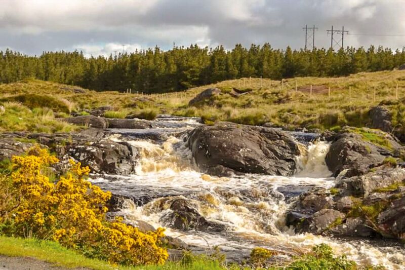From Galway: Connemara & Kylemore Abbey Full-Day Guided Tour - Experience Highlights