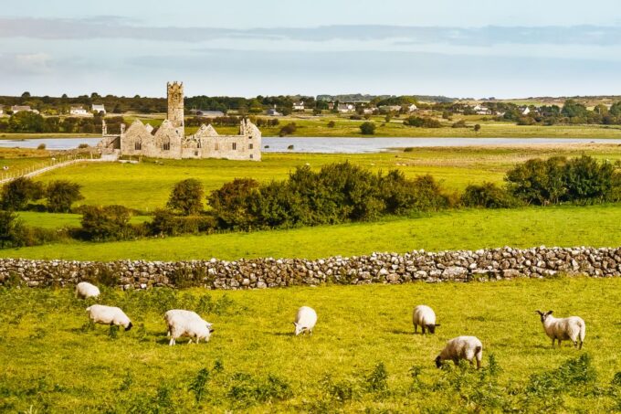 From Galway: Connemara & Kylemore Abbey Full-Day Guided Tour - Scenic Wonders of Connemara