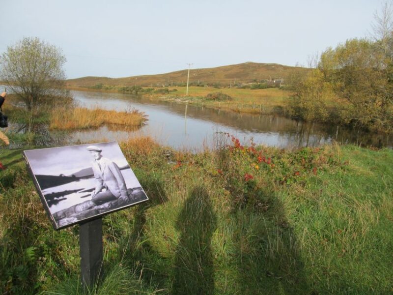 From Galway: Connemara National Park Full Day Tour - Tour Inclusions