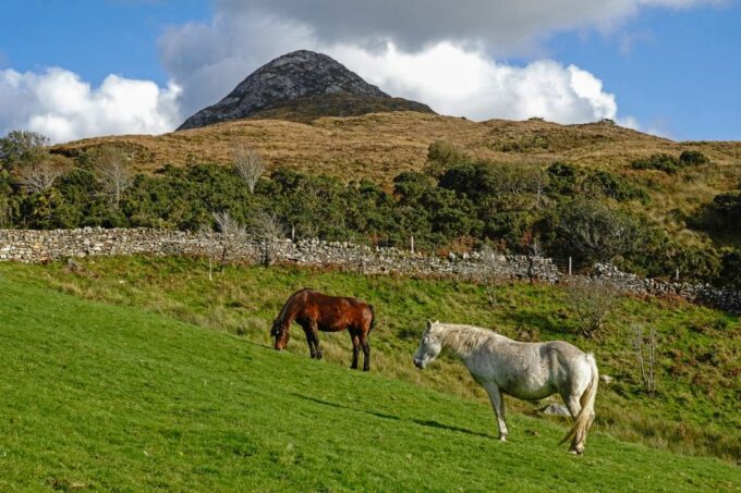 From Galway: Connemara National Park Full Day Tour - Meeting Point