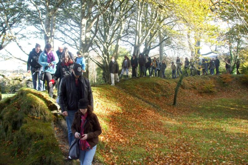 From Galway: Full-Day Cliffs of Moher and Burren Tour - Key Points