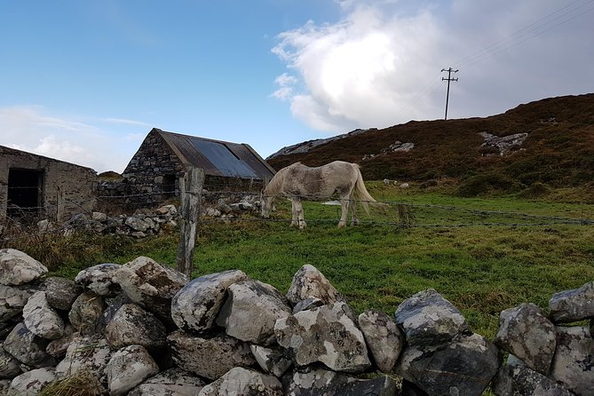 From Galway: Guided Tour of Connemara With 3 Hour Stop at Connemara National Pk. - Discovering Connemara