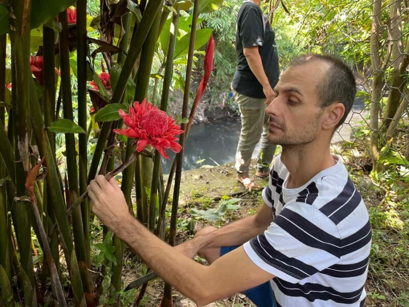 From Garden to Table: Indonesian Cooking Class in Yogyakarta - Key Points