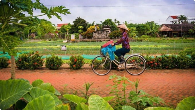 From Garden to Table: Tra Que Farming Tour - Convenient Transportation and Pickup Service