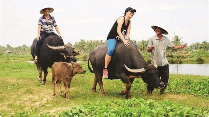From Garden to Table: Tra Que Farming Tour - Important Considerations for Your Tour