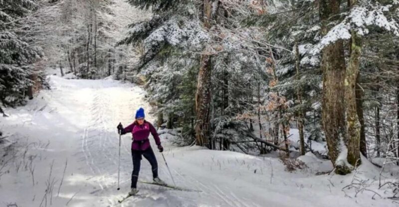 From Gardiner: Guided Yellowstone Cross-Country Skiing Tour - Pickup and Meeting Details