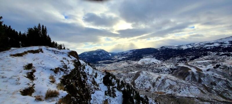 From Gardiner: Guided Yellowstone Cross-Country Skiing Tour - Wildlife and Scenic Features