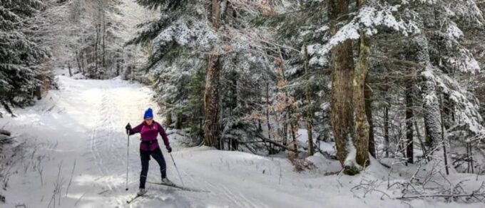 From Gardiner: Guided Yellowstone Cross-Country Skiing Tour - Exploring Yellowstones Winter Wilderness