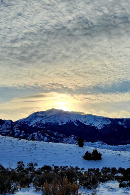 From Gardiner: Guided Yellowstone Cross-Country Skiing Tour - Spotting Wildlife in the Lamar Valley