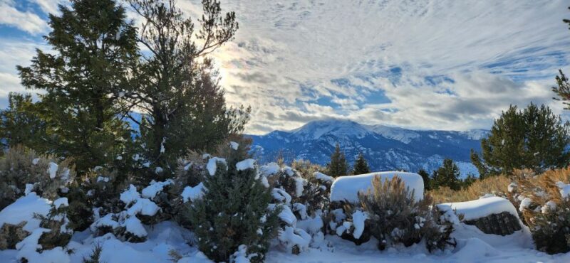 From Gardiner: Yellowstone National Park Snowshoe Tour - Key Points