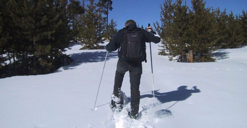 From Gardiner: Yellowstone National Park Snowshoe Tour - Experience and Highlights