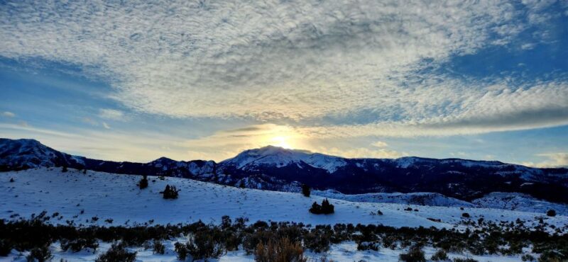 From Gardiner: Yellowstone National Park Snowshoe Tour - Activity Details