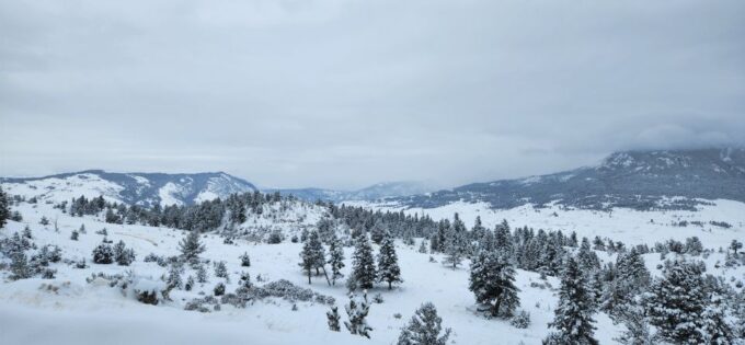From Gardiner: Yellowstone National Park Snowshoe Tour - Wildlife Viewing Opportunities