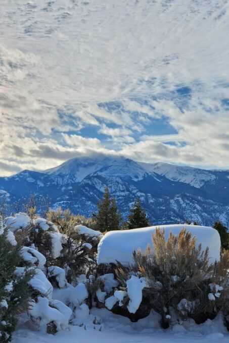 From Gardiner: Yellowstone National Park Snowshoe Tour - Lamar Valley and Junction Butte
