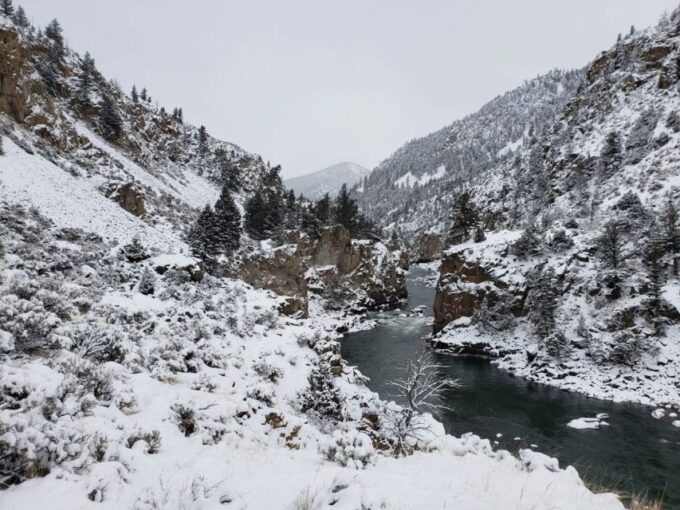 From Gardiner: Yellowstone National Park Snowshoe Tour - Frequently Asked Questions