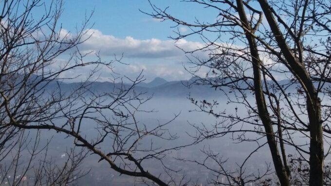 From Gavi: Piedmont Truffle Hunting Experience With Tasting - Frequently Asked Questions