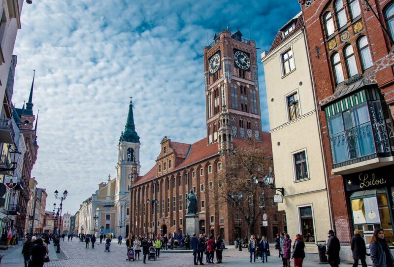 From Gdansk: Private Torun Van and Walking Tour - Key Points