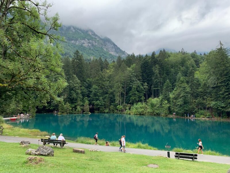 From Geneva: 10H Private Tour in Switzerland With Car+Driver - Experience Highlights