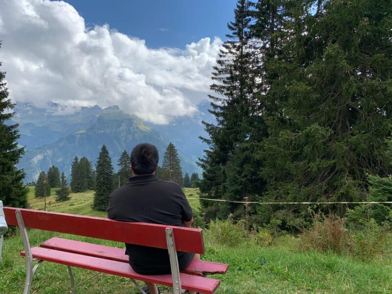 From Geneva: 10H Private Tour in Switzerland With Car+Driver - Inclusions