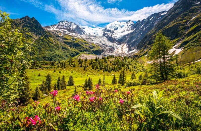 From Geneva: Chamonix Mont-Blanc Private Day Trip - Exploring Mer De Glace Glacier
